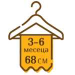 3-6 месеца